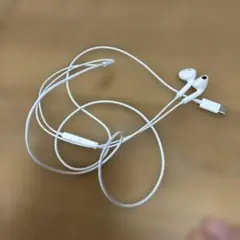 Apple 純正 Type C 有線イヤホン iphone