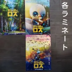 映画　野生の島のロズ　３種ラミネートセット　チラシ　フライヤー