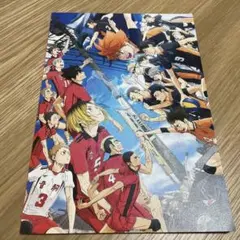 劇場版ハイキュー!! ゴミ捨て場の決戦　パンフレット　月島のマグネット付き