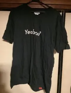 Item thumbnail for item ead4bb73-12df-4899-b72d-debf21ed3313