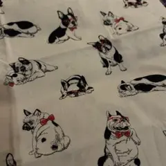 クリーム色にフレンチブルドッグの柄　50✖️110