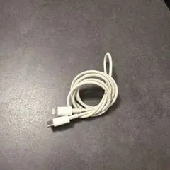 純正USB-C to Lightningケーブル 約1メートル ホワイト