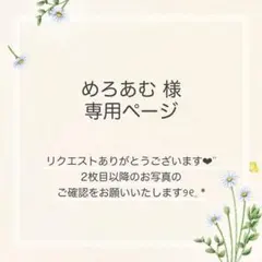 めろあむ様 おまとめ3点