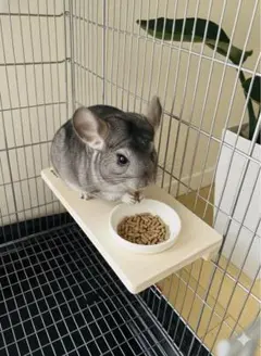 ニコニコricco様 リクエスト 2点 まとめ商品