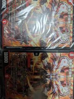 熊熊様 リクエスト 2点 まとめ商品