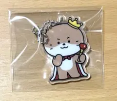 MINITEEN CHANDALEE チャンダリ アクキー ラキドロ ディノ