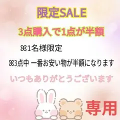 限定SALE 3点購入で1点半額 ガーデン雑貨 シャビー ジャンク etc. 限定SALE 3点購入で1点半額 ガーデン雑貨 シャビー ジャンク etc