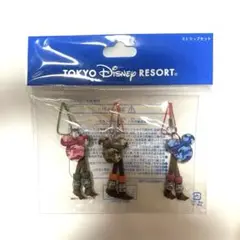 東京ディズニーリゾート 迷彩柄ストラップセット