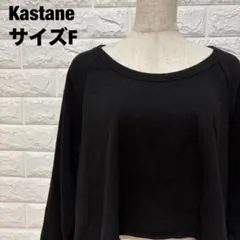Kastane ブラック クロップドトップス サイズF ショート丈【1614】のサムネイル
