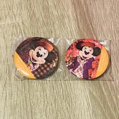 【2個セット】　ミニー　ミニスタ　実写　缶バッジ　秋コスチューム　ディズニー