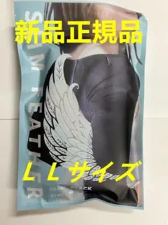 Item thumbnail for item 6b43ed6e-42ae-439b-968b-f5ebe8ef3339