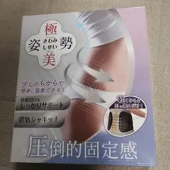 極美姿勢　姿勢サポーター Mサイズ