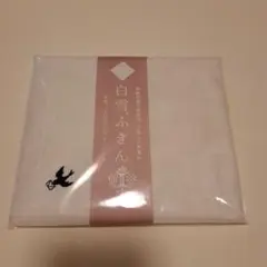 Item thumbnail for item bcedb094-ebaf-4bd1-bc62-5e950ad7e40b