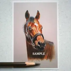 色鉛筆画 原画 ソングライン 手描き イラスト No.39 馬 色鉛筆画 原画 ソングライン 手描き イラスト No.39 馬 2025年
