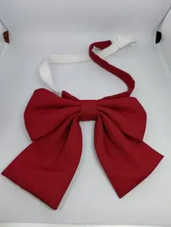 【最終値下・新品】制服用リボン スクールリボン　赤色