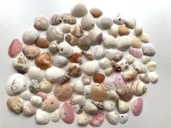 貝殻 穴あき　約100個　ハンドメイド素材