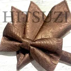 ☆蝶ネクタイ　ブラウン　ゴールド　メンズ　お色直し　結婚式　挙式　披露宴　Dnv