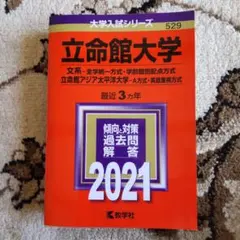 REIN様 リクエスト 2点 まとめ商品