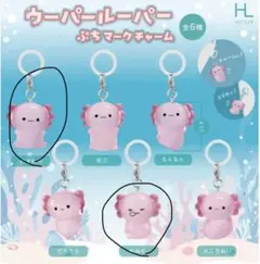 ♡ウーパールーパー　目印チャーム♡