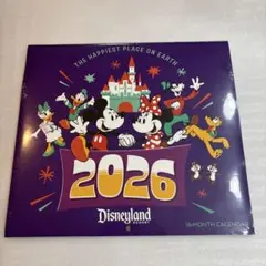 ディズニー☆￼パレードリミテッドエディションピン アナハイム