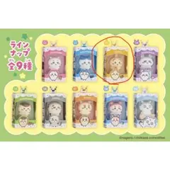 ちいかわ チョコボックス うさぎ
