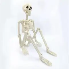 ガイコツ ハロウィン 大人気 骨 オブジェ 人体模型 インテリア 白