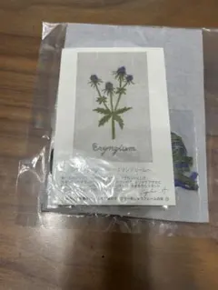 はとぽっぽ様 リクエスト 2点 まとめ商品