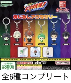 全6種コンプ 家庭教師ヒットマンREBORN! めじるしアクセサリー