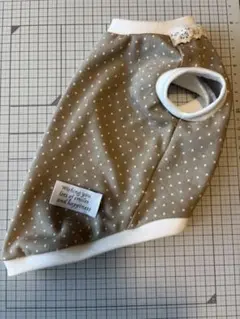 Item thumbnail for item 16d312c5-aabd-4750-8861-0b45715086a7