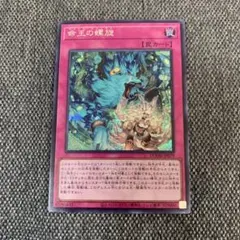 2025年最新】命王の螺旋の人気アイテム - メルカリ