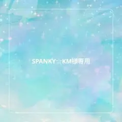 ニュースペーパーバッグ　メッセンジャーバッグ　A4 黒　布 大容量 ヴィンテージ