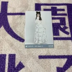 ひめたんの隠しミートボール様 リクエスト 3点 まとめ商品