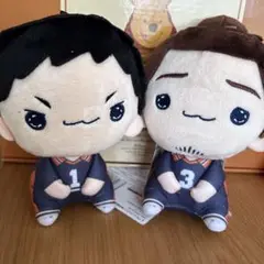ハイキュー!! もちぴこぬいぐるみ 新品未使用