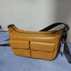 Item thumbnail for item 9f259956-405f-4ea2-a053-ae334731ac25