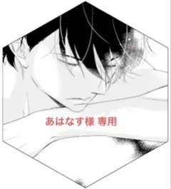 あはなす様 専用