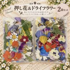 押し花＆ドライフラワー花びら♡フラワーパーツ5.6