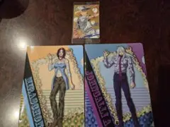 ☆ジョジョの奇妙な冒険 ストーンオーシャン ミニクリアファイルウエハースカード☆