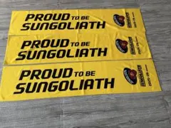 Item thumbnail for item 5077f4e5-1f2a-49f9-ad49-edbcdc4484c4