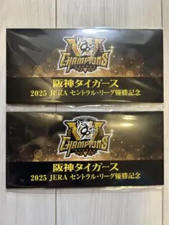 阪神タイガース優勝2025 阪神電車入場券セット