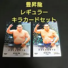 2025 BBM infinity 豊昇龍セット