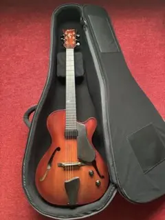 あっきーthe archguitar　フルアコ あっきー様専用the archguitar フルアコ - メルカリ
