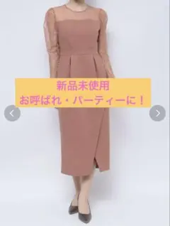 LADYスリーブレースカッティングドレス　ラグナムーン　lagunamoon