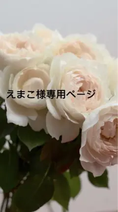 トップス