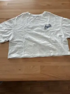 レピピ　ワッペンTシャツのサムネイル