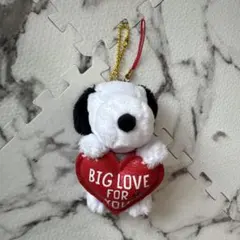 ユニバーサルスタジオジャパンスヌーピーキーホルダー6