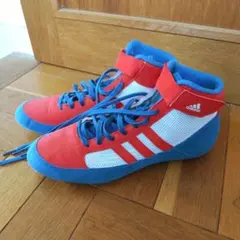 Item thumbnail for item 9b508f80-e870-464c-9858-63f0717cfdaf