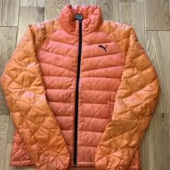 Item thumbnail for item 89051838-bacb-436e-8faa-a7eb1abb19ef