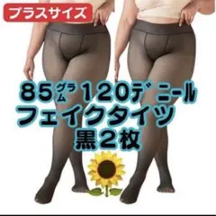 黒２枚セット 大きいプラスサイズ 80g１２０デニールフェイクタイツ レディース