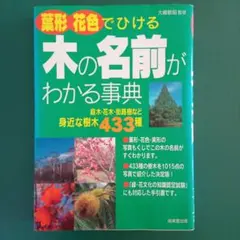 Item thumbnail for item c17c741f-c0a2-4a46-b76a-2638ac554f8b