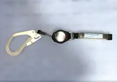 Item thumbnail for item 01de54c5-29aa-4832-858c-ec29d8a291ee